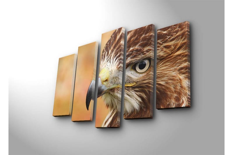 Stort lerretsbilde i 5 deler 105x70 cm - Nærbilde av en majestetisk hauk med fokus på ansiktet og øynene - Brun / Grå / Gul - Innredning - Bilder & kunst - Lerretsbilder