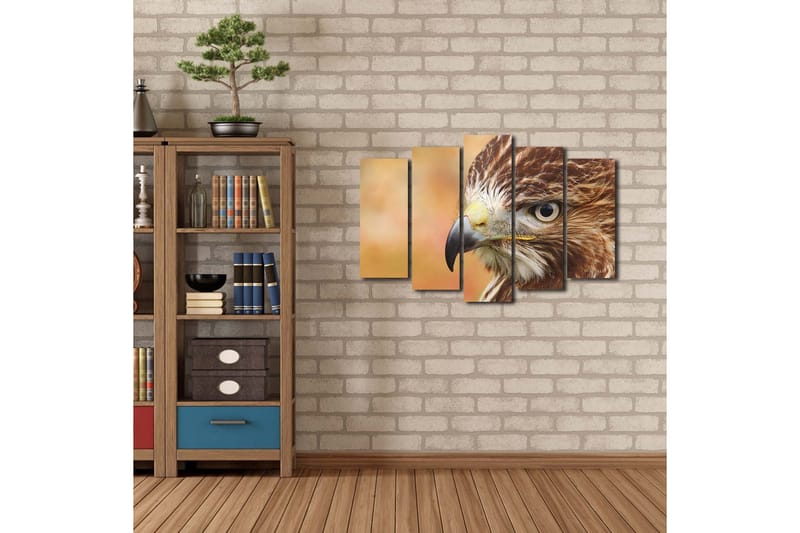 Stort lerretsbilde i 5 deler 105x70 cm - Nærbilde av en majestetisk hauk med fokus på ansiktet og øynene - Brun / Grå / Gul - Innredning - Bilder & kunst - Lerretsbilder