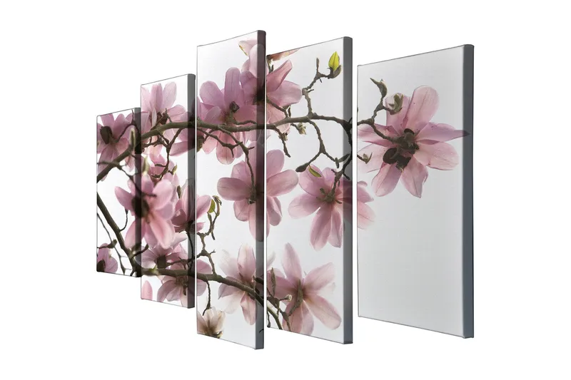 Stort lerretsbilde i 5 deler 105x70 cm - Rosa magnoliablomster på grener - Rosa / Grønn / Brun - Innredning - Bilder & kunst - Lerretsbilder