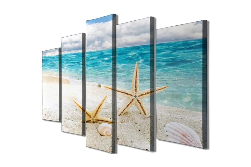 Stort lerretsbilde i 5 deler 105x70 cm - Stjerneformede skjell på en sandstrand ved sjøen - Blå / Beige / Hvit - Innredning - Bilder & kunst - Lerretsbilder