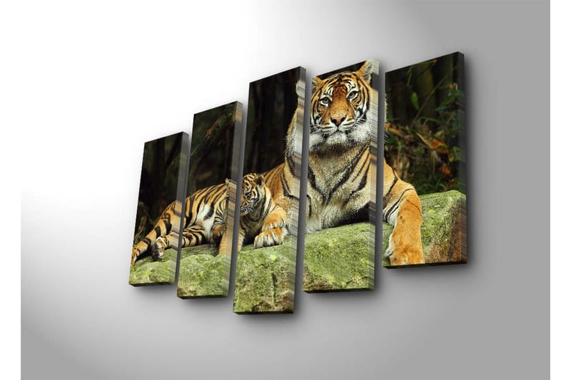 Stort lerretsbilde i 5 deler 105x70 cm - Stolt tiger med unge hvilende på en stein - Oransje / Svart / Beige - Innredning - Bilder & kunst - Lerretsbilder