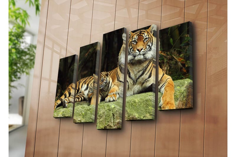 Stort lerretsbilde i 5 deler 105x70 cm - Stolt tiger med unge hvilende på en stein - Oransje / Svart / Beige - Innredning - Bilder & kunst - Lerretsbilder