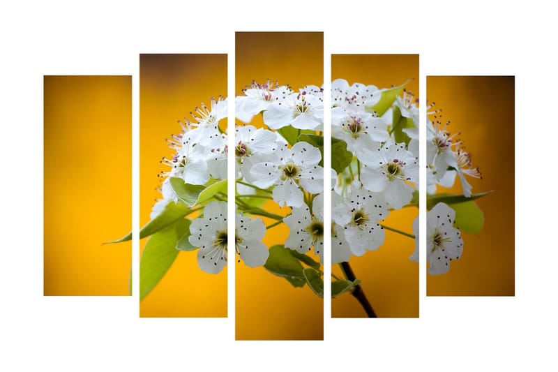 Stort lerretsbilde i 5 deler 105x70 cm - Vakker bukett med hvite blomster mot en varm gul bakgrunn - Hvit / Gul - Innredning - Bilder & kunst - Lerretsbilder