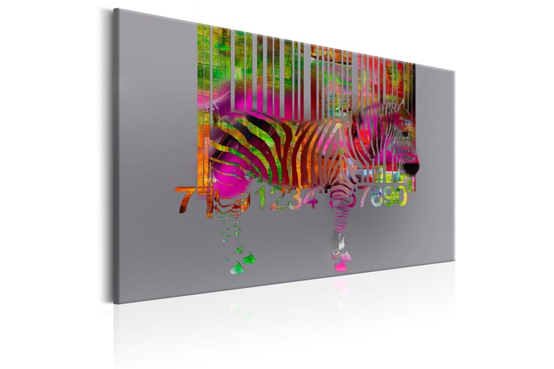 Tavla Code of Zebra 60x40 VALUE_MISSING_1 - Innredning - Bilder & kunst - Lerretsbilder