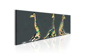 Tavla Colourful Giraffes 120x40 - Innredning - Bilder & kunst - Lerretsbilder