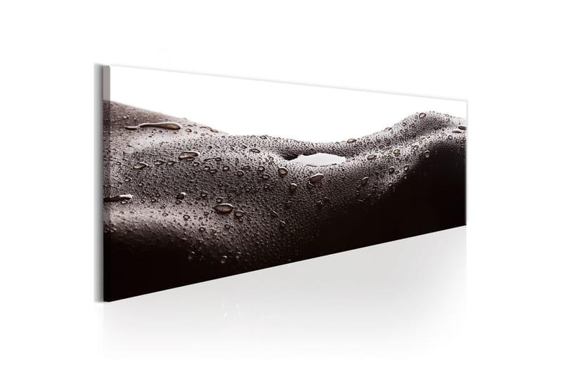 Tavla Erotic Landscape 135x45 - Innredning - Bilder & kunst - Lerretsbilder
