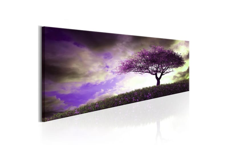 Tavla Heather Hill VALUE_MISSING_2 135x45, undefined
