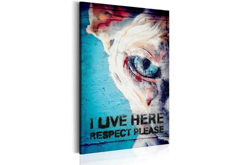 Tavla I Live Here, Respect Please 80x120 VALUE_MISSING_1 - Innredning - Bilder & kunst - Lerretsbilder