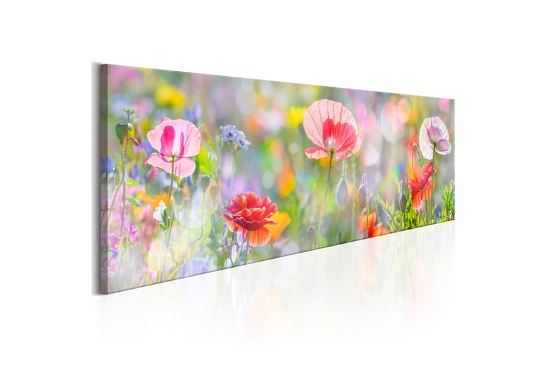 Tavla Rainbow of Morning Poppies 135x45 - Innredning - Bilder & kunst - Lerretsbilder