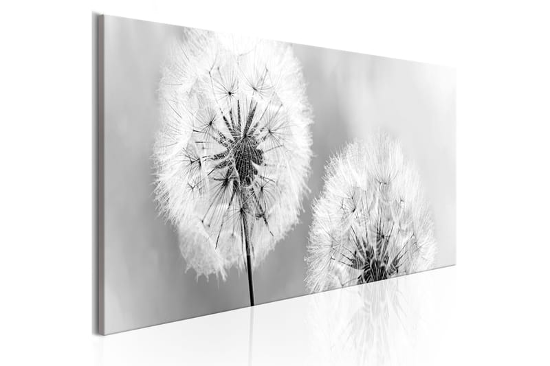 Tavla Summer Memories VALUE_MISSING_2 135x45, undefined