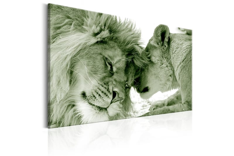 Tavla Whisper of Love 60x40 VALUE_MISSING_1 - Innredning - Bilder & kunst - Lerretsbilder