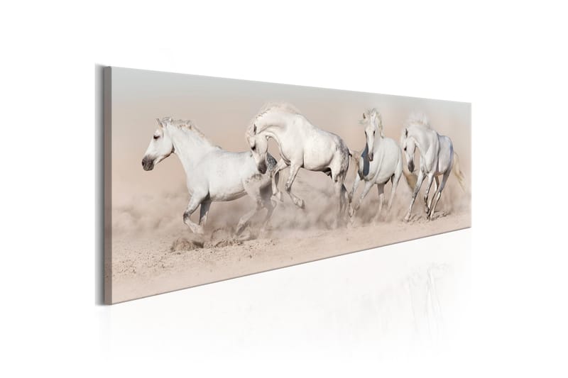 Tavla Wild Beauty VALUE_MISSING_2 120x40, undefined