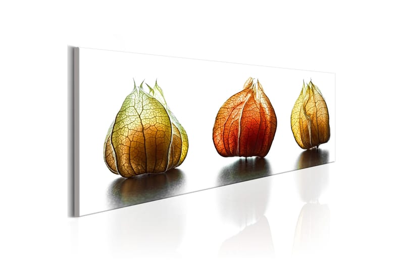 Tavla Winter Cherry 135x45 - Innredning - Bilder & kunst - Lerretsbilder