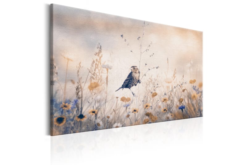 Tavle August Melody 90X60 - Artgeist sp. z o. o. - Innredning - Bilder & kunst - Lerretsbilder