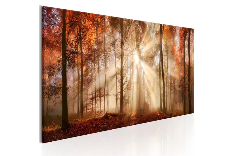 Tavle Autumnal Dawn 120X40, Artgeist sp. z o. o.