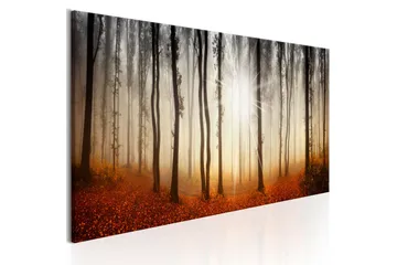 Tavle Autumnal Fog 120X40