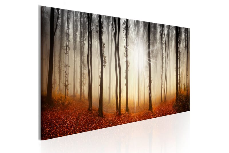 Tavle Autumnal Fog 135X45 - Artgeist sp. z o. o. - Innredning - Bilder & kunst - Lerretsbilder