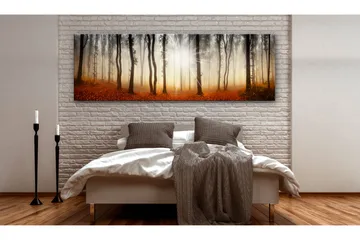 Tavle Autumnal Fog 135X45 - Artgeist sp. z o. o. - Innredning - Bilder & kunst - Lerretsbilder