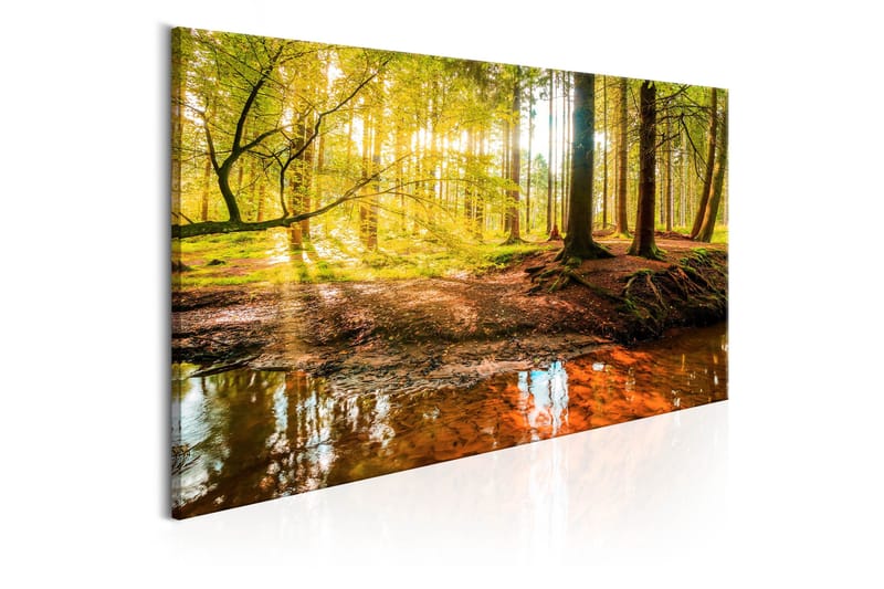 Tavle Autumnal Reverie 120X60 - Artgeist sp. z o. o. - Innredning - Bilder & kunst - Lerretsbilder