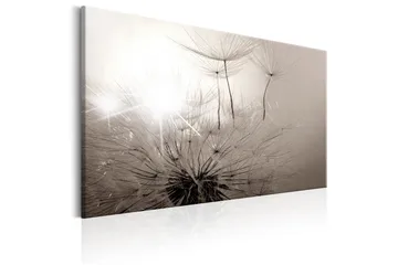 Tavle Beautiful Summer: Dandelions 90X60 - Artgeist sp. z o. o. - Innredning - Bilder & kunst - Lerretsbilder