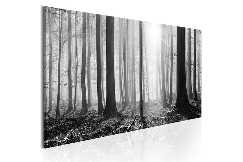 Tavle Black And White Forest 135X45, Artgeist sp. z o. o.