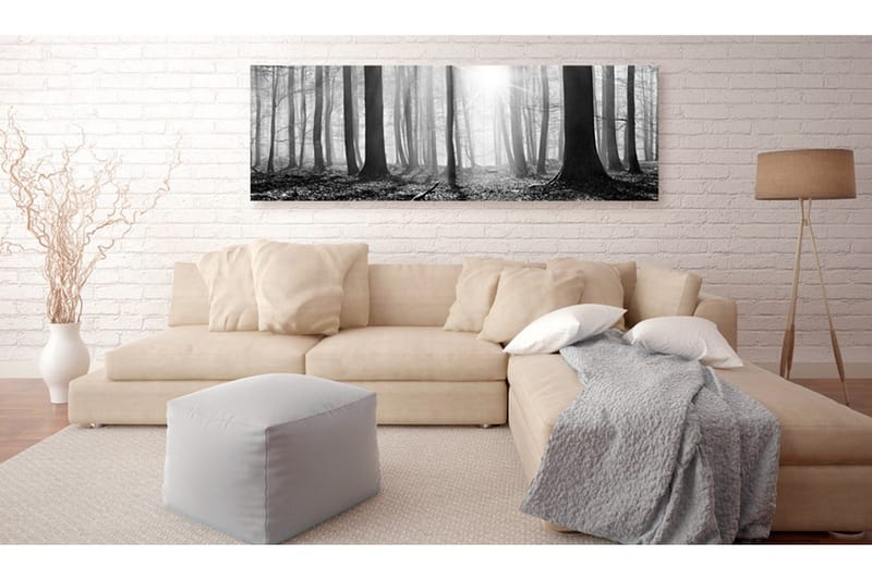 Tavle Black And White Forest 135X45 - Artgeist sp. z o. o. - Innredning - Bilder & kunst - Lerretsbilder