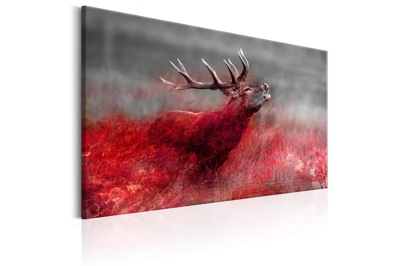 Tavle Bloody Field 90X60 - Artgeist sp. z o. o. - Innredning - Bilder & kunst - Lerretsbilder