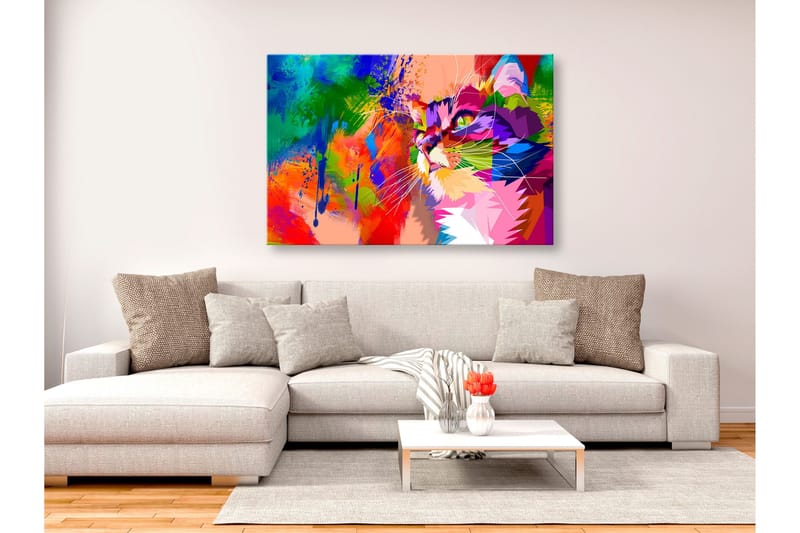 Tavle Colourful Cat (1 Part) Wide 90X60, Artgeist sp. z o. o.