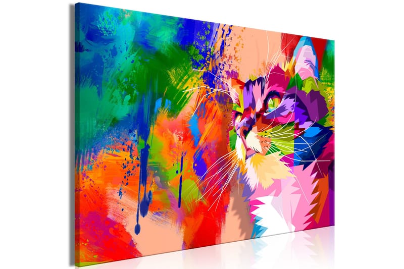 Tavle Colourful Cat (1 Part) Wide 90X60 - Artgeist sp. z o. o. - Innredning - Bilder & kunst - Lerretsbilder