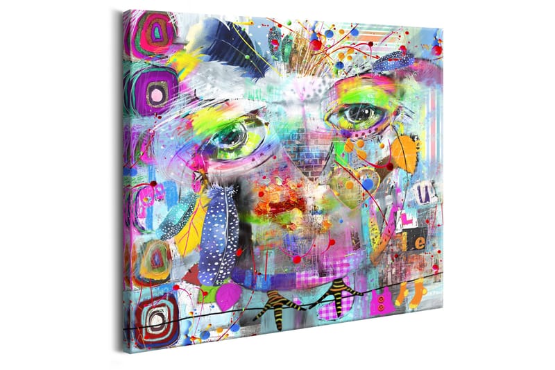 Tavle Colourful Owl 40X40 - Artgeist sp. z o. o. - Innredning - Bilder & kunst - Lerretsbilder
