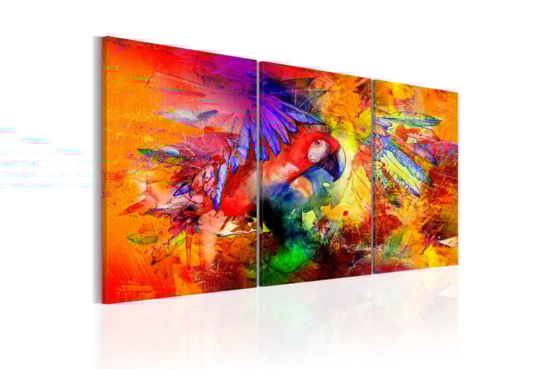 Tavle Colourful Parrot 60X30 - Artgeist sp. z o. o. - Innredning - Bilder & kunst - Lerretsbilder