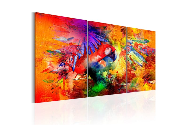 Tavle Colourful Parrot 60X30 - Artgeist sp. z o. o. - Innredning - Bilder & kunst - Lerretsbilder