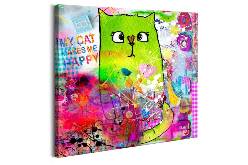 Tavle Crazy Cat 40X40 - Artgeist sp. z o. o. - Innredning - Bilder & kunst - Lerretsbilder
