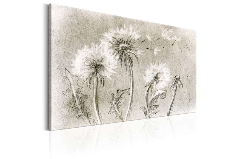 Tavle Dandelions (Pencil Artwork) 120X80 - Artgeist sp. z o. o. - Innredning - Bilder & kunst - Lerretsbilder