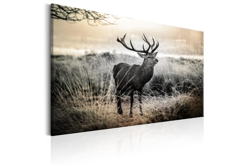 Tavle Dangerous Horns 90X60 - Artgeist sp. z o. o. - Innredning - Bilder & kunst - Lerretsbilder