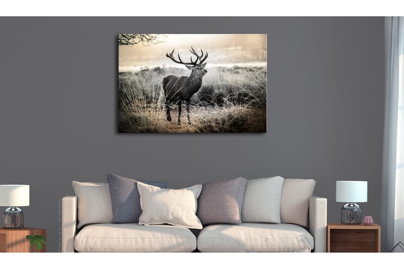 Tavle Dangerous Horns 90X60 - Artgeist sp. z o. o. - Innredning - Bilder & kunst - Lerretsbilder