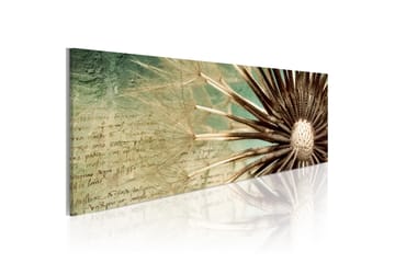 Tavle Efemära Poesi 135X45