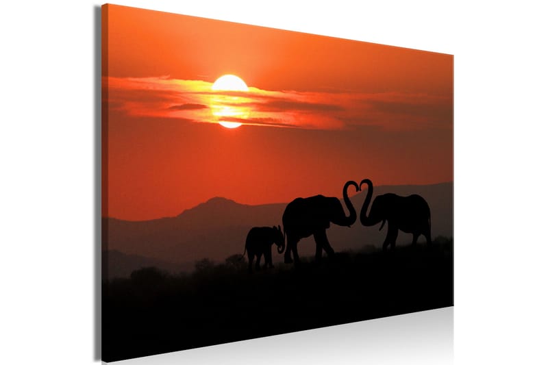 Tavle Elephants In Love (1 Part) Wide 90X60 - Artgeist sp. z o. o. - Innredning - Bilder & kunst - Lerretsbilder