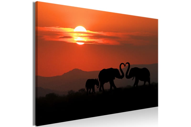 Tavle Elephants In Love (1 Part) Wide 60X40 - Artgeist sp. z o. o. - Innredning - Bilder & kunst - Lerretsbilder