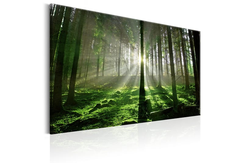 Tavle Emerald Forest Ii 120X80 - Artgeist sp. z o. o. - Innredning - Bilder & kunst - Lerretsbilder