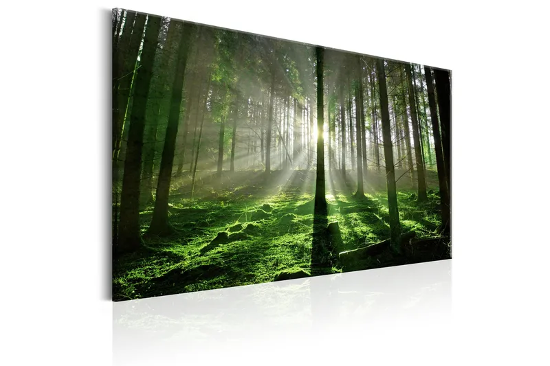 Tavle Emerald Forest Ii 90X60 - Artgeist sp. z o. o. - Innredning - Bilder & kunst - Lerretsbilder