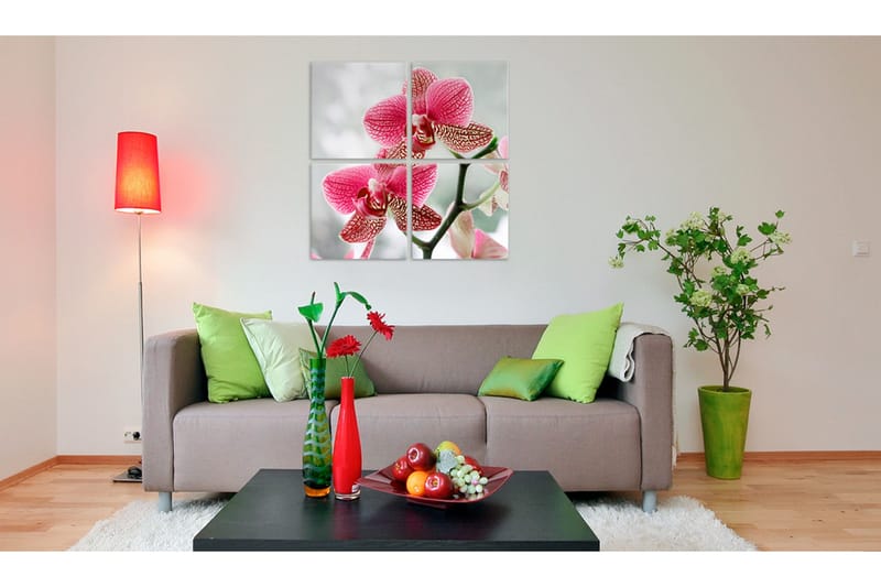 Tavle Fancy Orkidé 60X60 - Artgeist sp. z o. o. - Innredning - Bilder & kunst - Lerretsbilder
