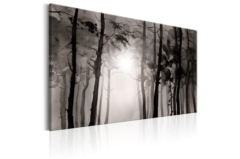 Tavle Foggy Forest 120X80 - Artgeist sp. z o. o. - Innredning - Bilder & kunst - Lerretsbilder