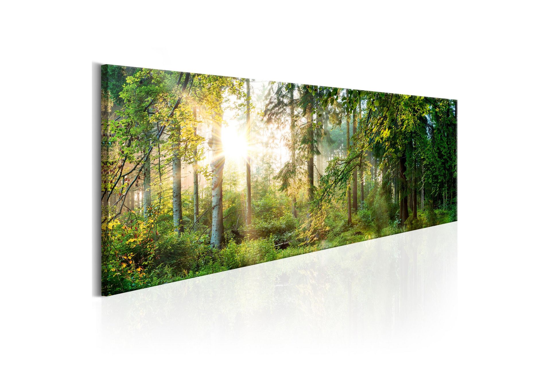 Tavle Forest Shelter 120X40 - Artgeist sp. z o. o. - Innredning - Bilder & kunst - Lerretsbilder