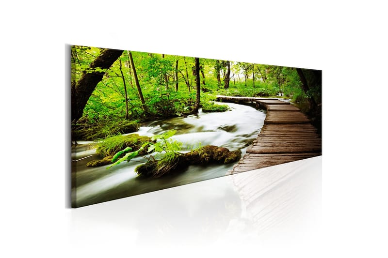 Tavle Forest Song 135X45 - Artgeist sp. z o. o. - Innredning - Bilder & kunst - Lerretsbilder