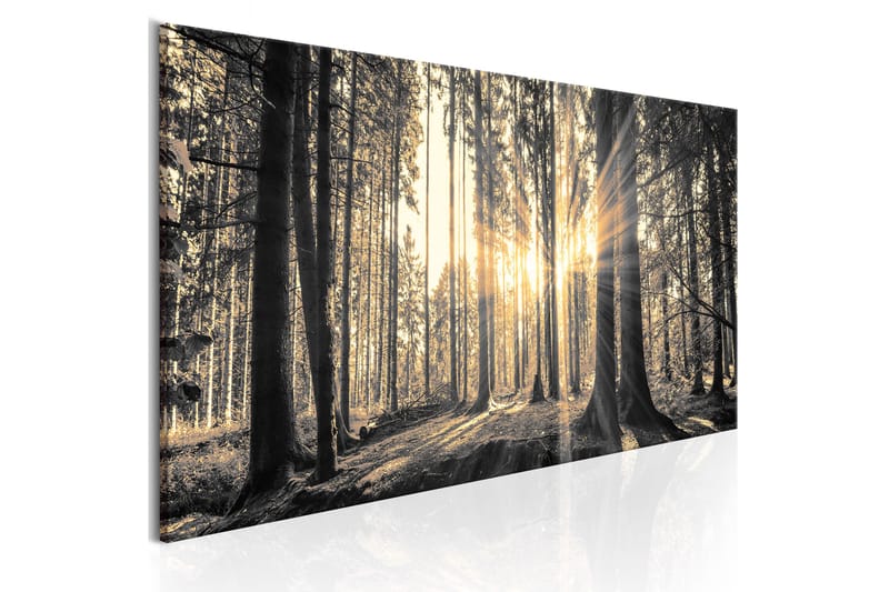 Tavle Forest Sun 120X40 - Artgeist sp. z o. o. - Innredning - Bilder & kunst - Lerretsbilder