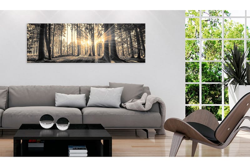 Tavle Forest Sun 120X40 - Artgeist sp. z o. o. - Innredning - Bilder & kunst - Lerretsbilder