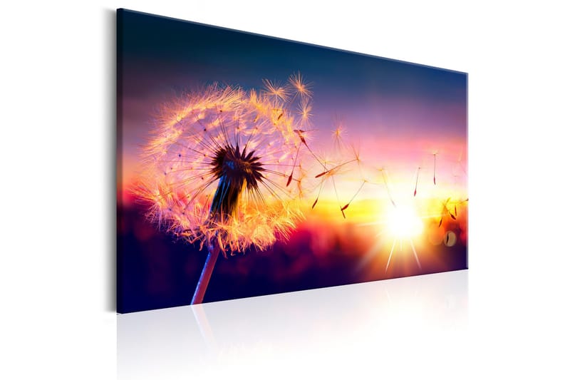 Tavle Freedom Of Nature 120X80 - Artgeist sp. z o. o. - Innredning - Bilder & kunst - Lerretsbilder