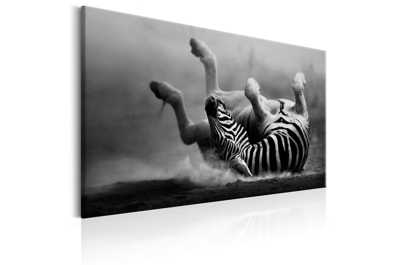 Tavle Fun In The Dust 120X80 - Artgeist sp. z o. o. - Innredning - Bilder & kunst - Lerretsbilder