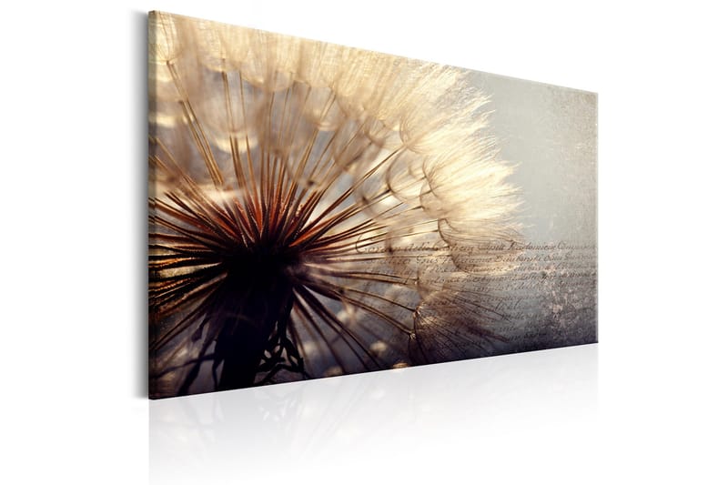 Tavle Gentleness Of Summer 120X80 - Artgeist sp. z o. o. - Innredning - Bilder & kunst - Lerretsbilder